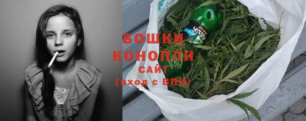 амф Гусь-Хрустальный