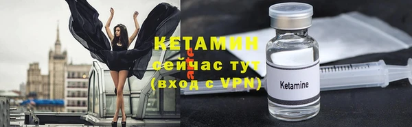мяу мяу мука Дмитриев