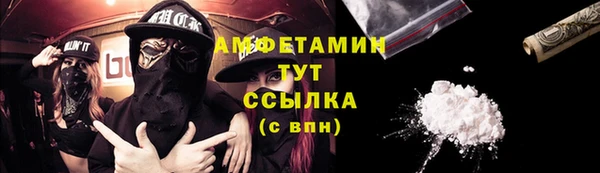 амф Гусь-Хрустальный