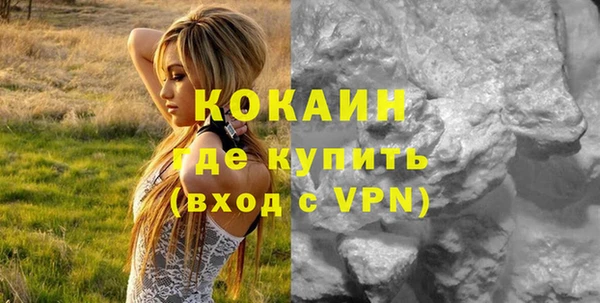 мяу мяу мука Дмитриев