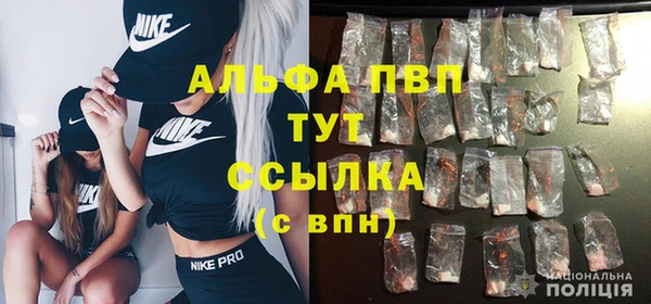 мяу мяу мука Дмитриев