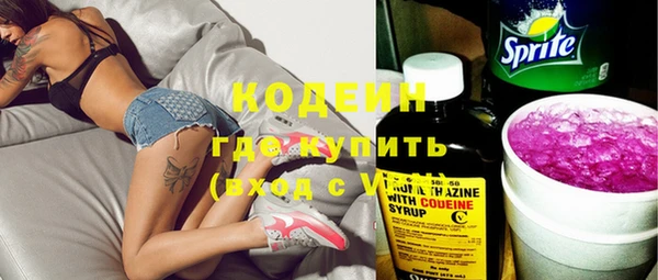 амф Гусь-Хрустальный